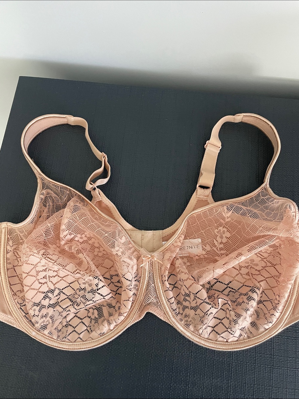 Lace Underwire Bra in Blush Pink - Supportive, Sheer Design